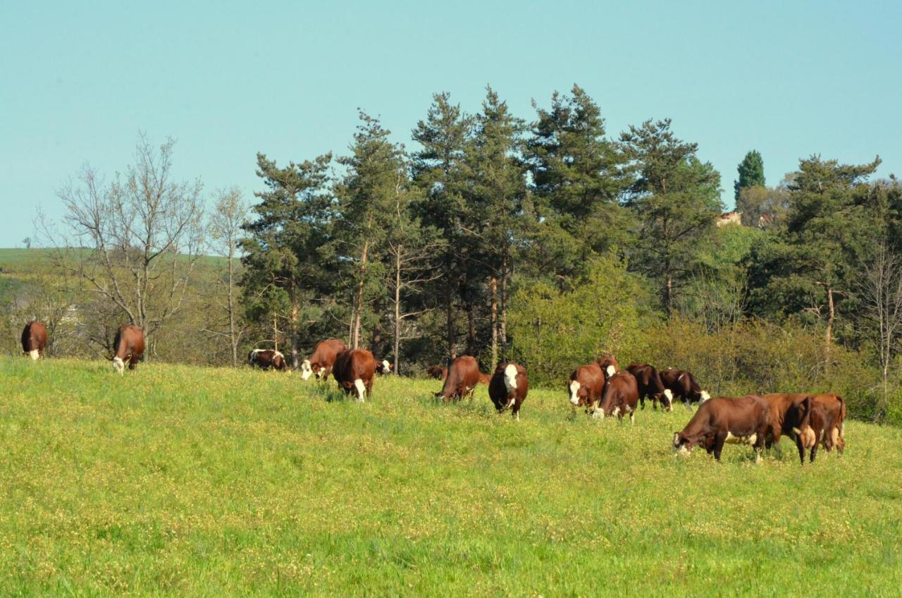 Gites A La Ferme De Bacon Saint-Sylvestre  Bagian luar foto